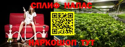 прущие крисы Коммунар