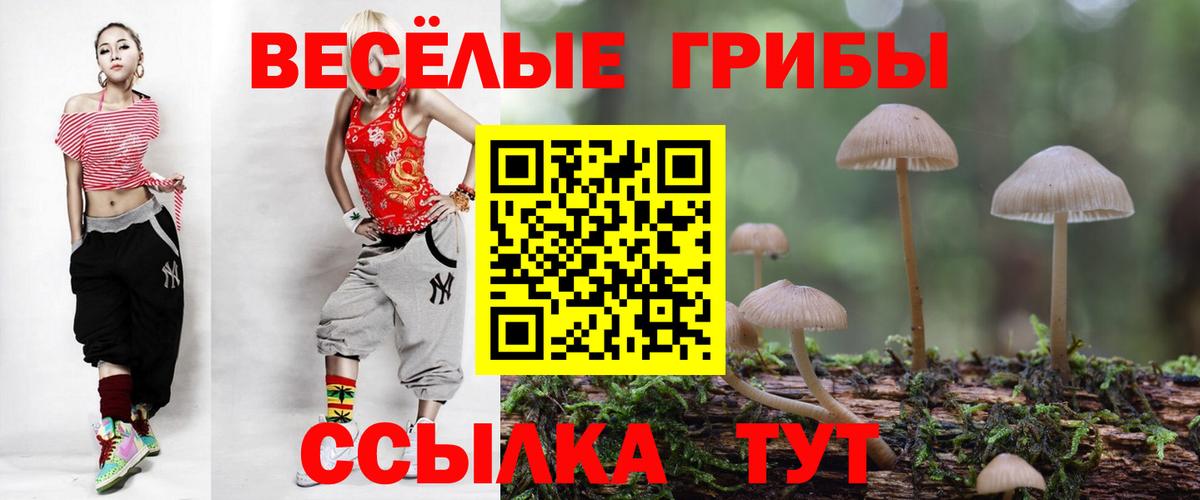 Псилоцибиновые грибы MAGIC MUSHROOMS  Вход с VPN  Галлюциногенные грибы прущие грибы  Ковров 