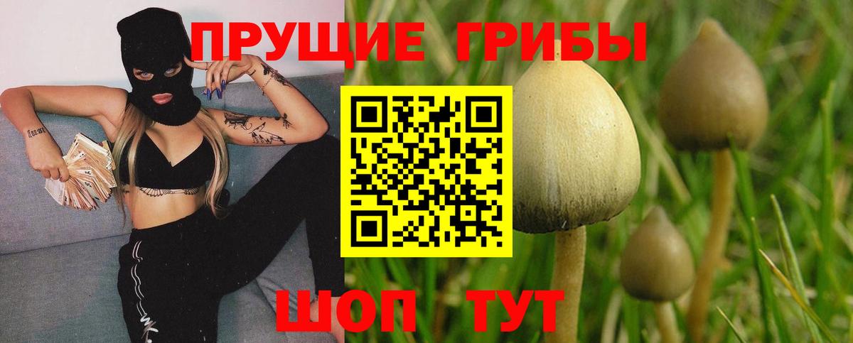 Псилоцибиновые грибы мухоморы Ковров